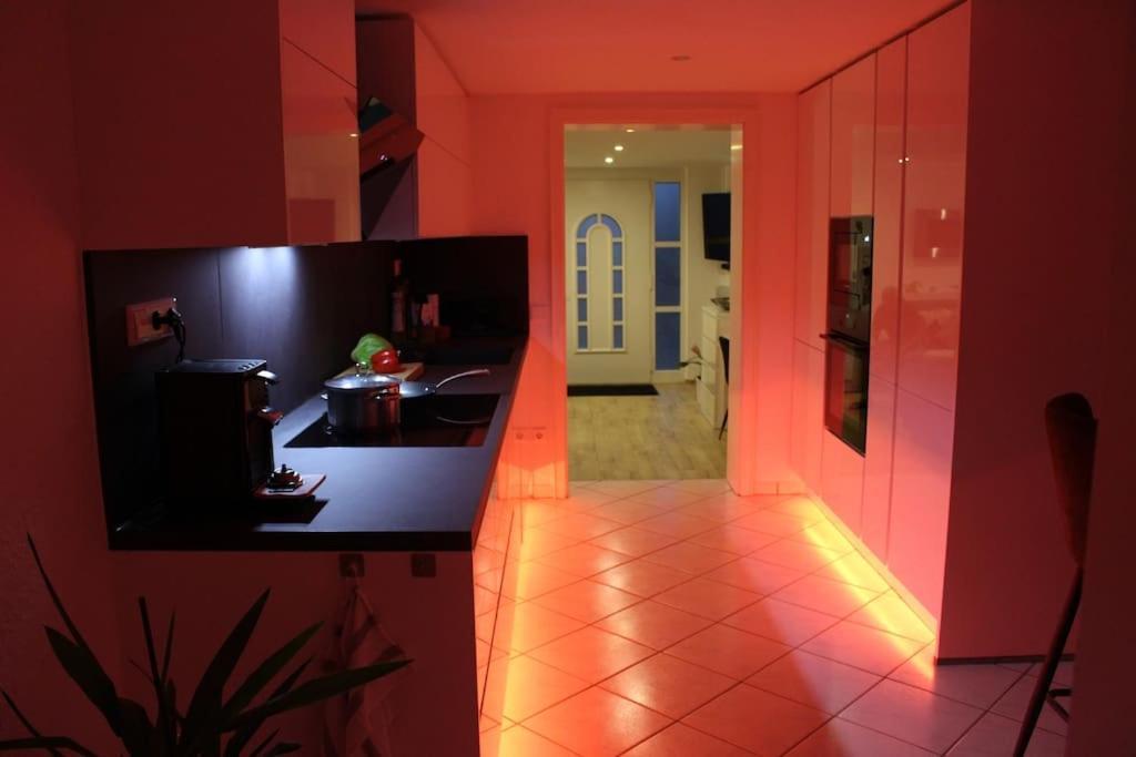 Smart-Apartment Blickwinkel Schwarzwald ガッゲナウ エクステリア 写真